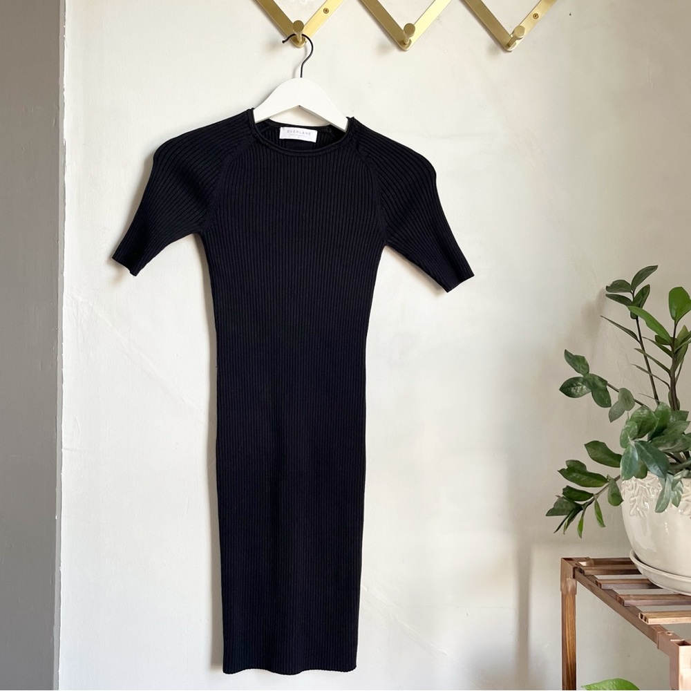 Everlane Knit Ribbed Bodycon Sweater Dress